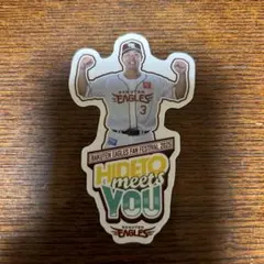 東北楽天ゴールデンイーグルス