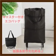 캐스터 투웨이 에코백 장바구니 캐리백 대용량 블랙