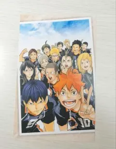 ハイキュー　はがき 色紙 紙 ポスター ポストカード 日向翔陽 影山飛雄 烏野