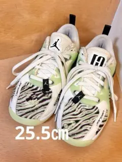 【特価25.5㎝】NIKE/ジョーダン エアー シリーズ /ウィメンズ