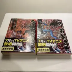 うしおととら　文庫本　全巻セット　文庫版 うしおととら 文庫版 全巻セット（全19巻） | 八文字屋OnlineStore