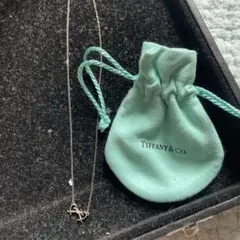 Tiffany & Co. シルバーハートネックレスダブルラビングダイヤ1p