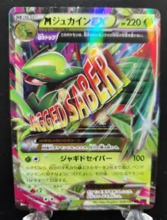 ポケモンカード　MジュカインEX RR XY7 バンデットリング 008/081