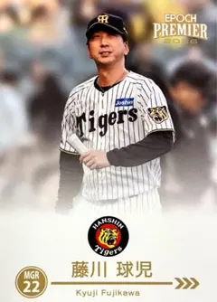 BBM 2009 阪神タイガース　藤川球児　ユニフォームカード　ジャージカード BBM 2009 阪神タイガース 藤川球児 ユニフォームカード ジャージカード