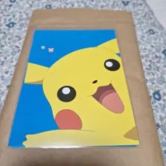 Item thumbnail for item 70d02a94-3438-4812-a345-9644b364c473