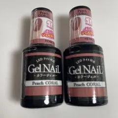 GelNail ジェルネイル Peach CORAL 2本セット