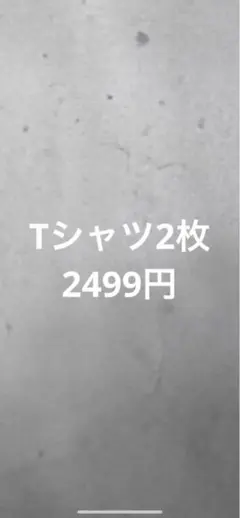Tシャツセット販売　お好きなtシャツ2枚