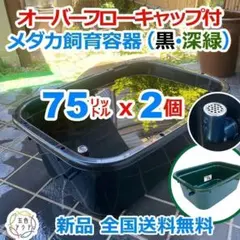 メダカ容器 NV22 オーバーフロー 5個 Wパッキン 雨対策 高耐久 メダカ容器 NV22 オーバーフロー 5個 Wパッキン 雨対策 高耐久 - メルカリ