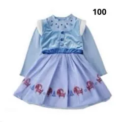 ディズニー❤︎アナと雪の女王❤︎ワンピース❤︎エルサ❤︎なりきり❤︎リトシー❤︎100❤︎新品