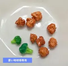 蒼い地球様 専用