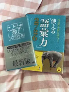 Item thumbnail for item c7162030-ac36-4668-93d6-40b9fdfeb583