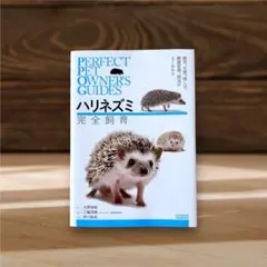 Item thumbnail for item d5fe6010-2b0d-4ee7-8a87-ded5d59039f9