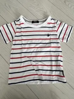 POLO ストライプ Tシャツ