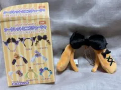 サンリオ ミニカチューシ