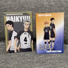 Item thumbnail for item d8da0ba9-32fb-4600-8e4b-2ba716156037