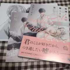 【特典付】結城くんの嘘つきな恋