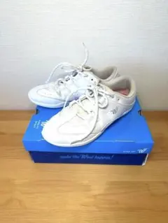 Item thumbnail for item 6a2f2a33-a6ea-4cb6-b53f-79b30779e5c8