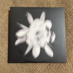 Black Boboi 「Agate」CD