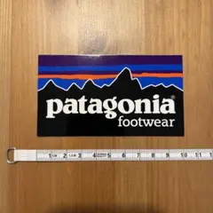 【新品】patagonia ステッカー