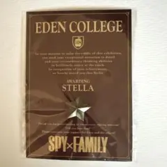 SPY×FAMILY 展 特典 ステラ ピンズ