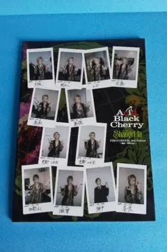 2026年最新】acid black cherry グッズ新品の人気アイテム - メルカリ
