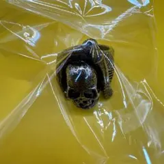 ③ ビンテージ デスリング 死神 スカル ピューター バイカーリング
