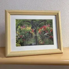 FUJICOLOR FRAME 額　写真立て　フォトフレーム　額縁　2L判