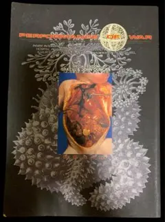 【激レア】トランスレコード 非売品CD YBO2 北村昌士 割礼 ZOA Amazon.co.jp: 激レアトランスレコード 非売品CD YBO2 北村昌士