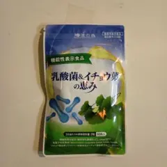 Item thumbnail for item ae20ba42-3971-4e16-ae15-8747c5d459fa