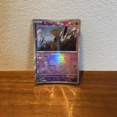 ケーシィ マスターボールミラー テレポーター