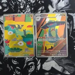 ドラメシヤ ar ドロンチ ar セット