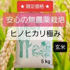 ③【希少・限定品】☆令和7年兵庫県産・ひのひかり極み・玄米5kg☆即日発送のサムネイル
