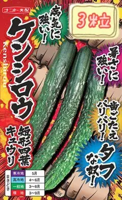 あいちゃん様 リクエスト 2点 まとめ商品