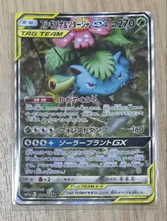 PSA9 フシギバナ&ツタージャGX SM11a 066/064 2019 フシギバナ&ツタージャGX PSA 9 スペシャルアート - カルドバ