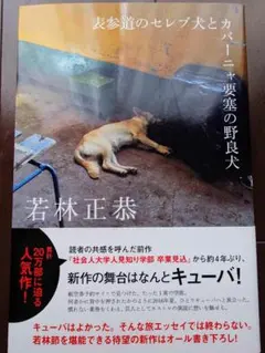 かなた様 リクエスト 2点 まとめ商品