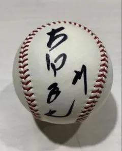 山田哲人 & 青木宣親 東京ヤクルトスワローズ 直筆サインボール プロ