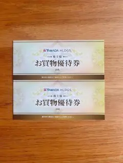 ヤマダ電機　お買物優待券 10000円分