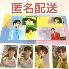 リパケ SECTOR17 スングァン トレカ セット