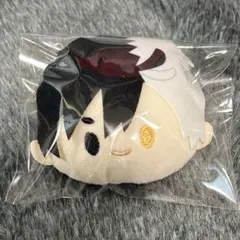桜遥 フェイスぬいぐるみキーホルダー