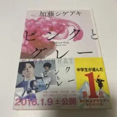 ピンクとグレー (Pink and Gray)