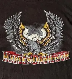ハーレー Tシャツ 半袖 ヴィンテージ 70s 80s ハーレーダビッドソン