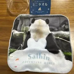 2025年最新】アドベンチャーワールド タオルの人気アイテム - メルカリ