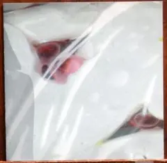 '00【CD】Artman (DJ KUDO) / Re:sort アンビエント