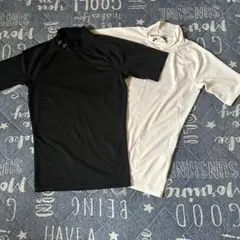 Under Armour アンダーシャツ 2色セット
