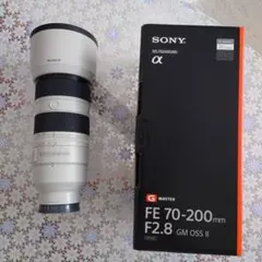 2026年最新】FE 70-200mm F2.8 GM OSS SEL70200GMの人気アイテム