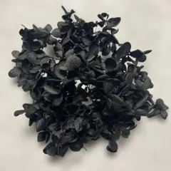 プリザーブドフラワー 花材 No.101花材セット アジサイ ブラック