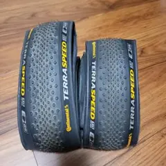 コンチネンタル TerraSpeed Protection TR 700x40Cのサムネイル