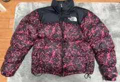 海外限定！THE North Faceの94レイジ　1996 レトロ　ヌプシ