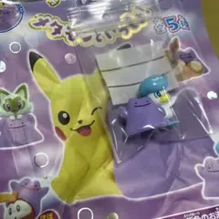 ポケモン　メタモンといっしょ