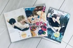 BLコミック　3冊セット　年下彼氏　だかいち